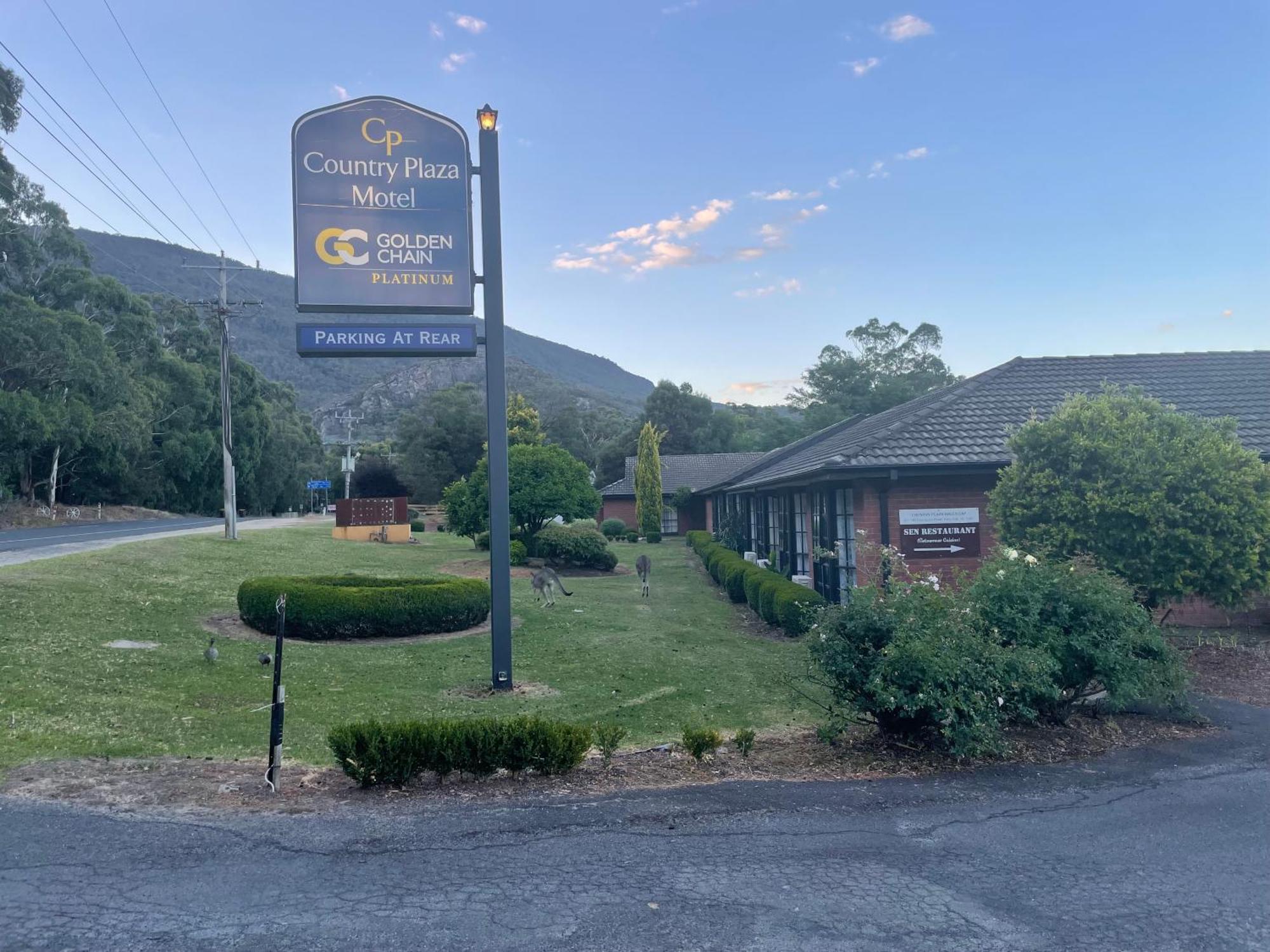 Golden Chain Country Plaza Motel Холс Гап Екстериор снимка